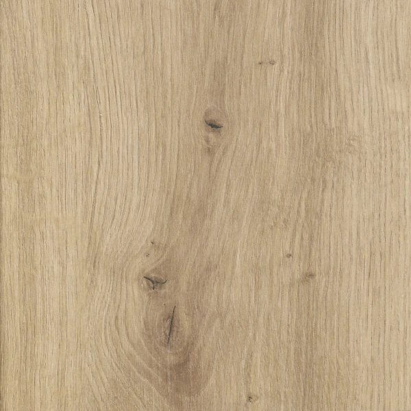 D4225 OV Dąb Artisan